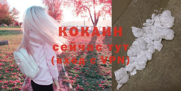 мет Михайлов