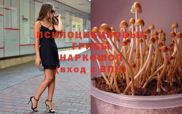 амф Мегион