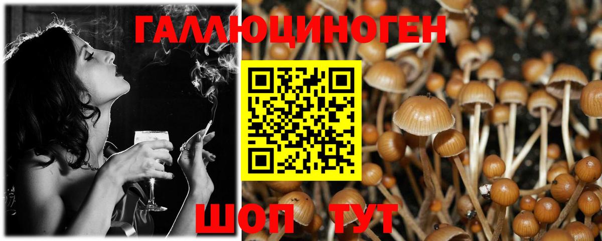 Надым  купить наркотики сайты  Вход с VPN  Галлюциногенные грибы MAGIC MUSHROOMS  Галлюциногенные грибы Cubensis 